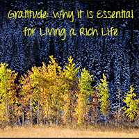 Gratitude…How it Can Improve Your Life Today.