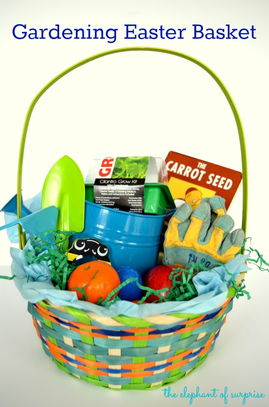 Peter Rabbit Candy-Free Easter Basket