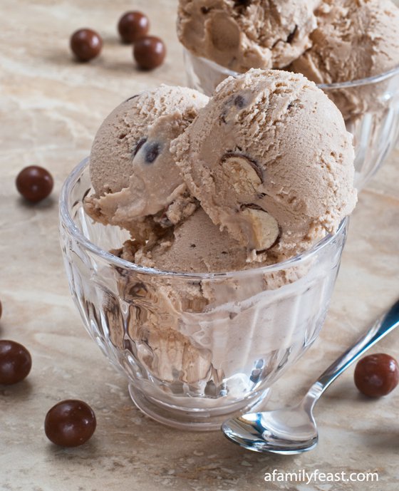 21 Homemade Ice Cream Recipes