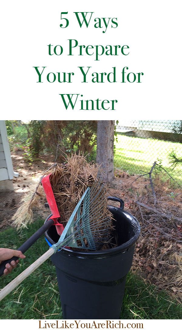 5 Ways to Prepare Your Yard for Winter