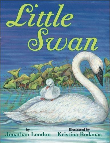 little swan book